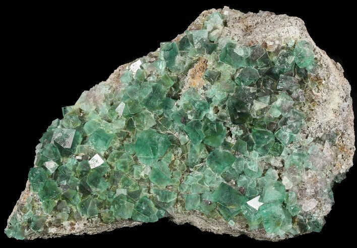 Large, Fluorite & Galena Plate - Rogerley Mine (Clearance Price) #32398